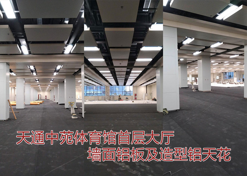 天通中苑体育馆墙面铝板及造型铝天花