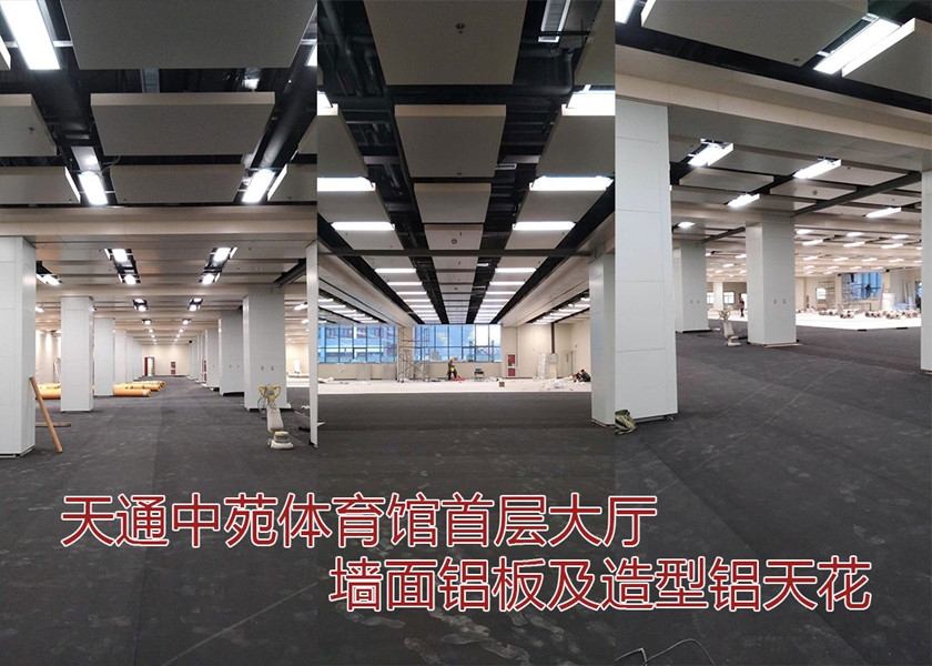 天通中苑体育馆墙面铝板及造型铝天花